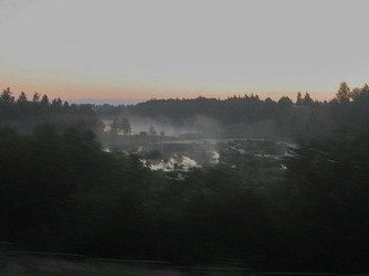 Mists of Dawn